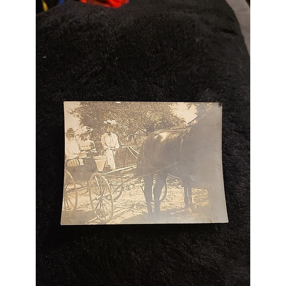 Vintage Photo, Three women HORSE AND BUGGY